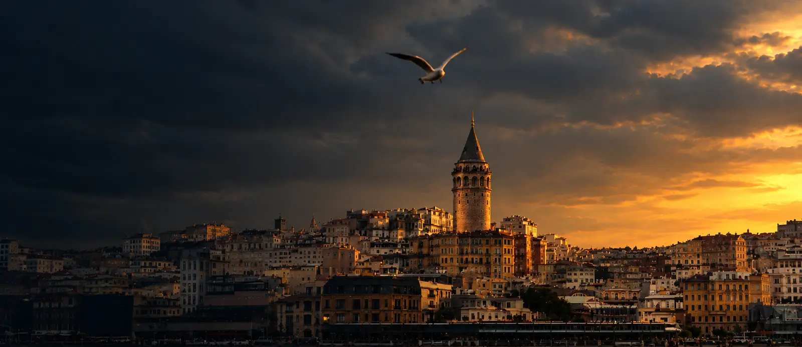 The Galata Tower above Istanbul rooftops at sunset, a gull crossing the sky.